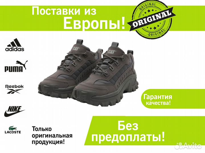 Кроссовки Caterpillar