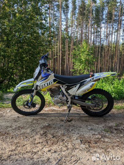 Avantis fx250 lux 2021