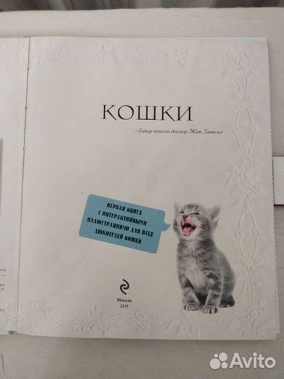 Книга для любителей котиков)