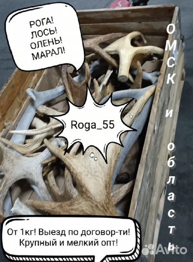 Рога разные