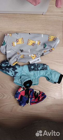 Одежда и обувь для собак