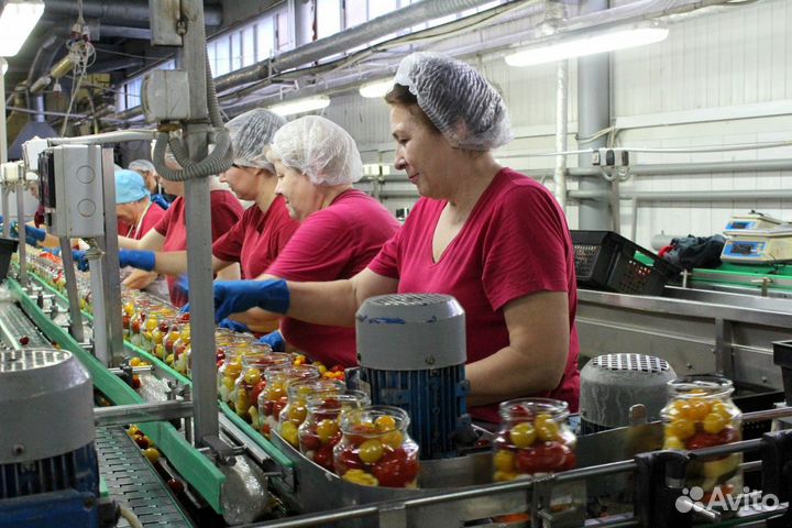 Оператор на консерв.завод в г. Славянск на Кубани