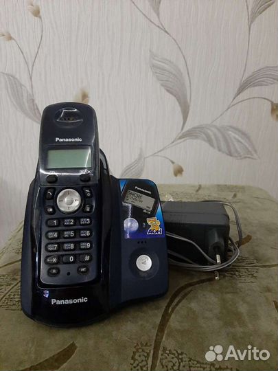 Panasonic