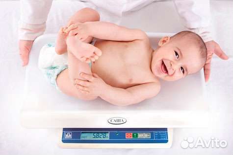 Аренда весы Саша