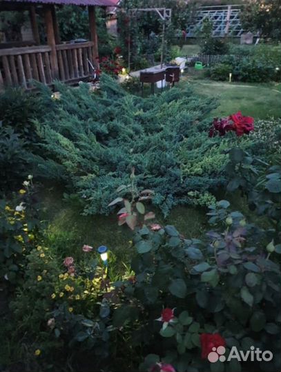 Баня на дровах домашняя