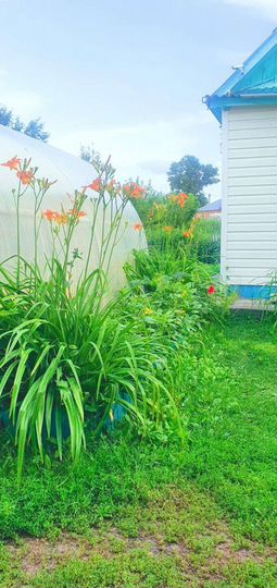 Дом 85 м² на участке 8 сот.