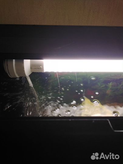 Аквариум 100 л с тумбой,полный комплект