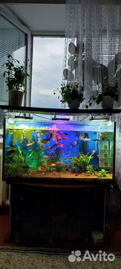 Аквариум с тумбой