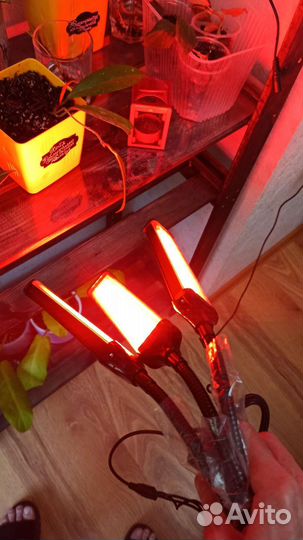 Светодиодный фитосветильник для растений