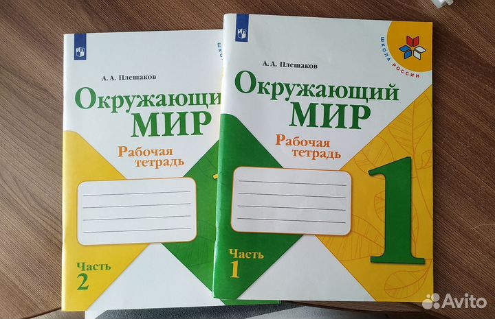 Рабочая тетрадь окружающий мир плешаков 1 класс