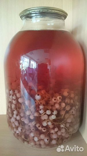 Компот из красной смородины
