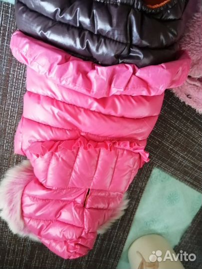 Комбинезон для маленькой собачки