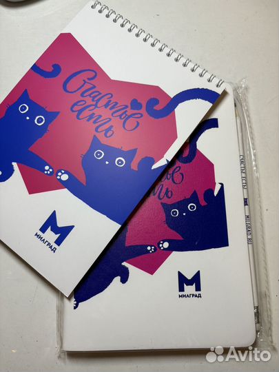 Мини-набор (ежедневник+блокнот)