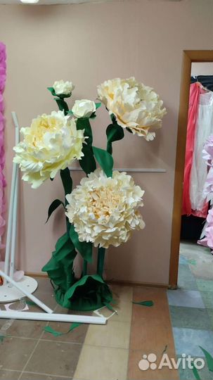 Большие пионы на мероприятие, оформление фотозоны