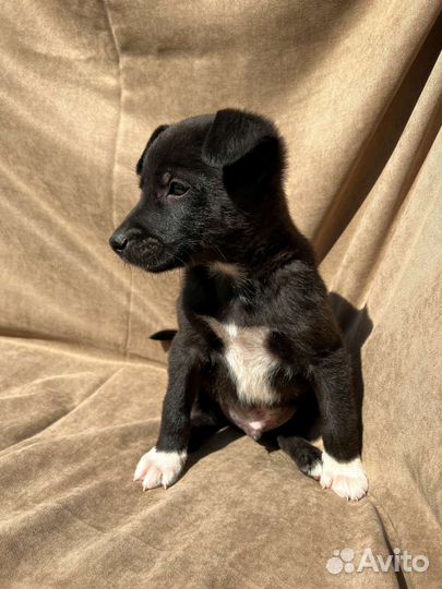 Мальчики и девочки