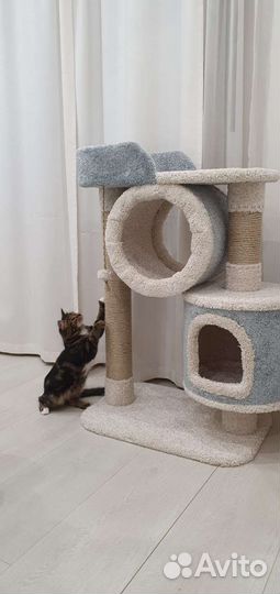 Когтеточка для кошек