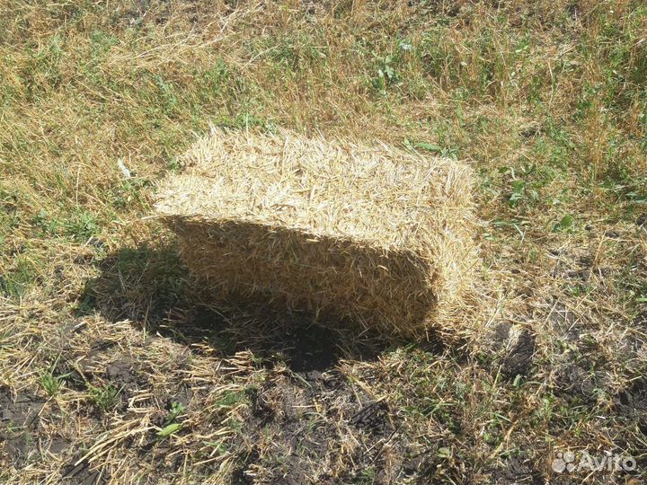 Солома ячменная в тюках