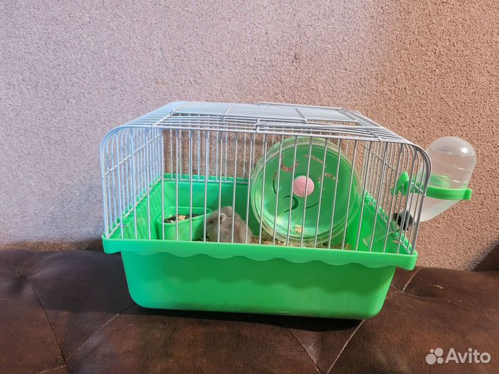 Джунгарский хомяк с клеткой