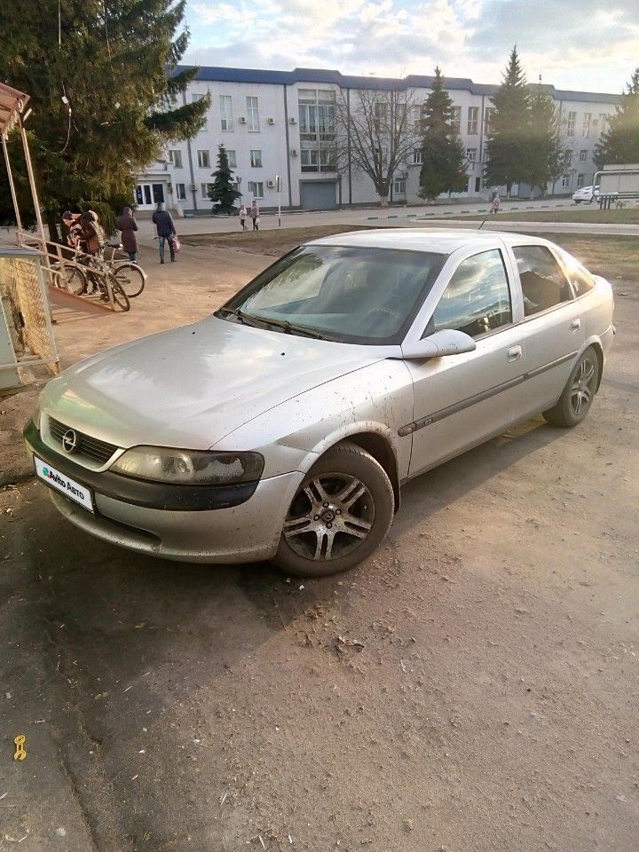 Opel Vectra: фото владельца