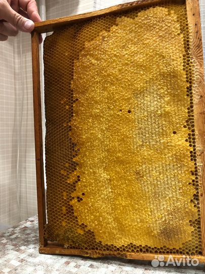 Медовые рамки для подкормки пчел