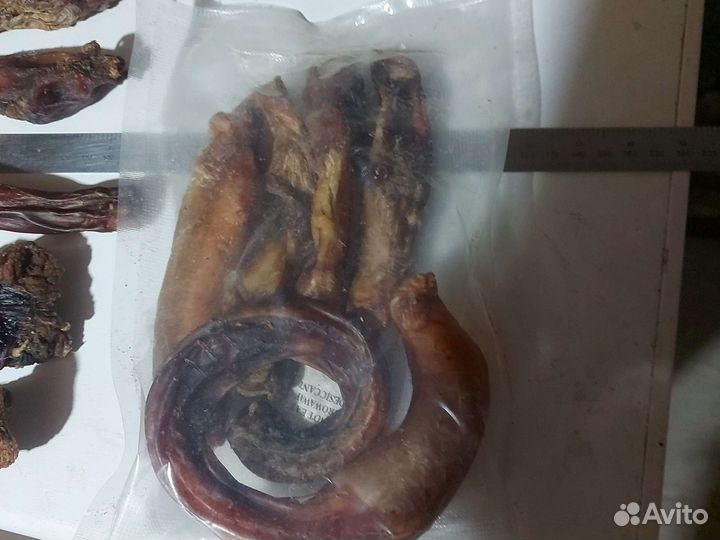 Корм для собак