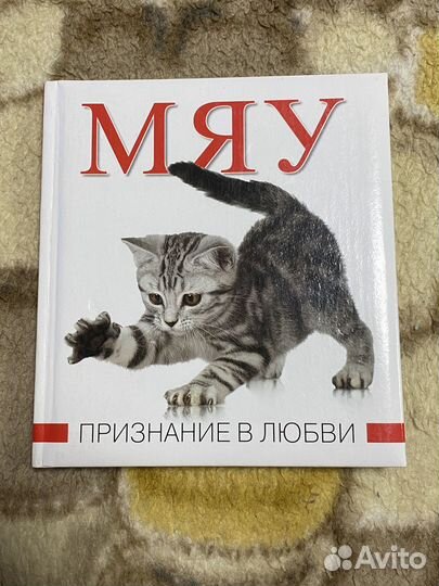 Этажи книга