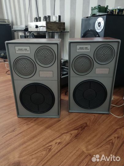 Колонки Вега 25ас 109