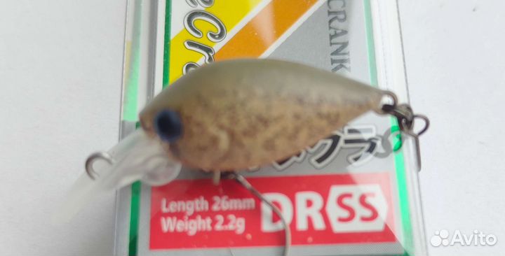 DaySprout Pico ChatteCra DR SS