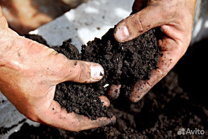 Чернозем торф торфосмесь