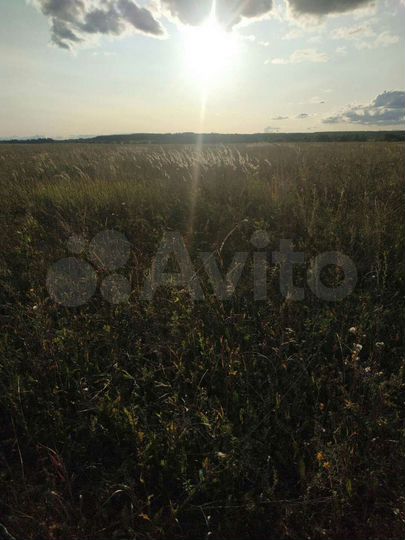 Участок 12 га (СНТ, ДНП)