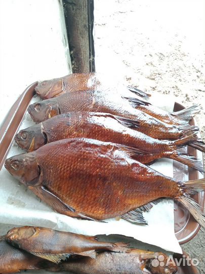 Продажа копченой и вяленой рыбы