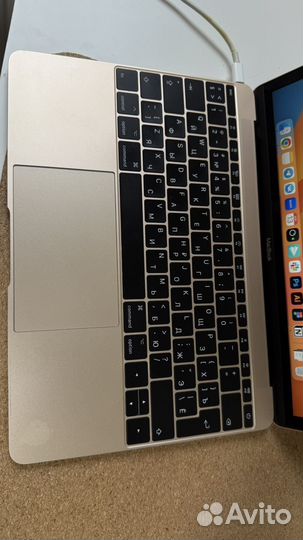 Apple macbook 10,1