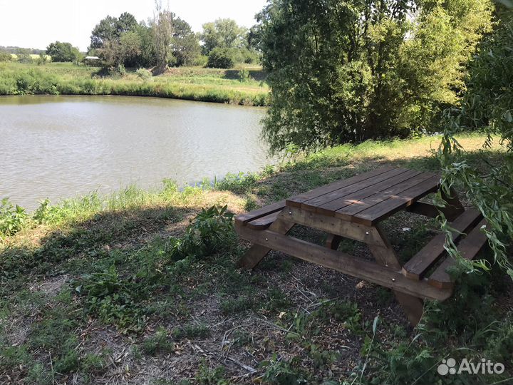 Платная рыбалка