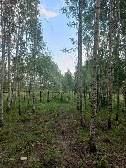 Участок 15 сот. (ИЖС)