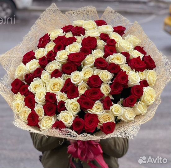 101 роза 51 роза Цветы