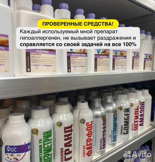 Уничтожение клопов, травля тараканов, дезинсекция