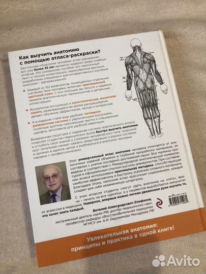 Анатомия человека. Атлас раскраска