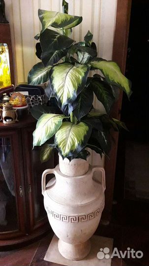 Вазоны, цветы