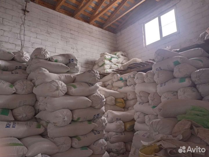 Продаю зерно