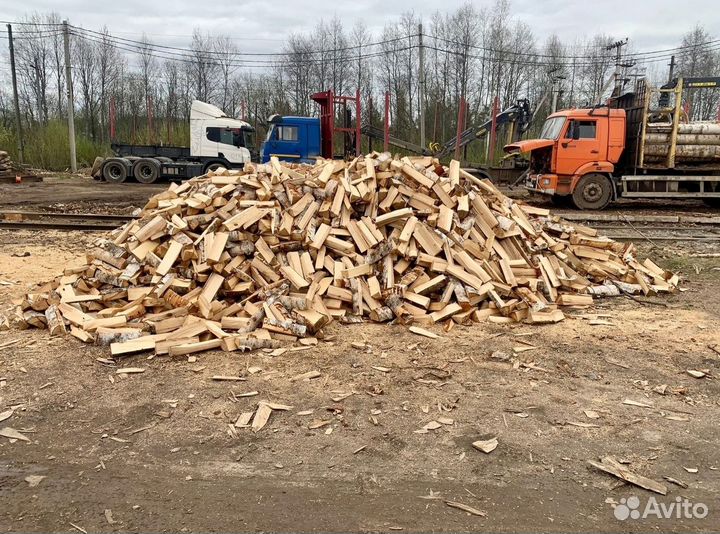 Дрова береза