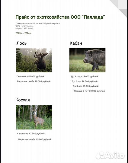 Охота: лось, кабан, косуля