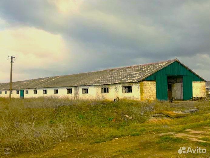 Животноводческая ферма продаю