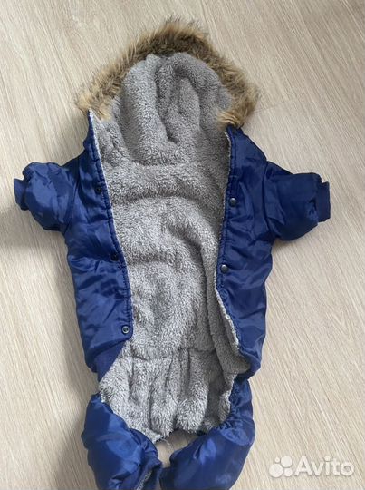 Зимний костюм для собаки