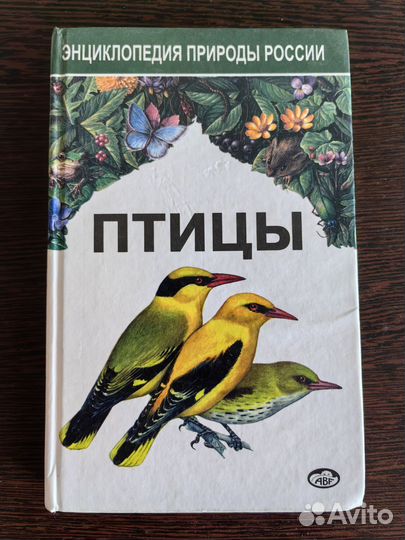Энциклопедия природы России. Птицы