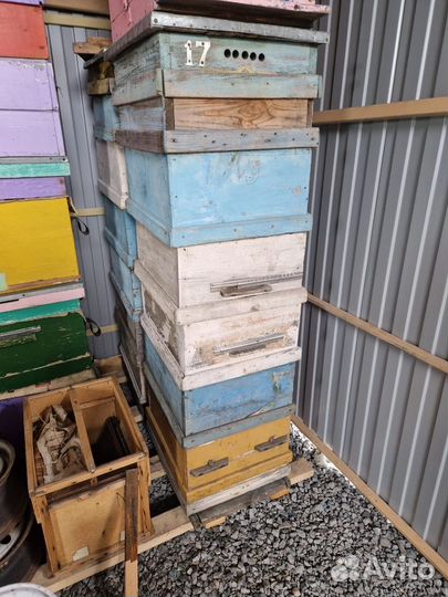 Ульи для пчел