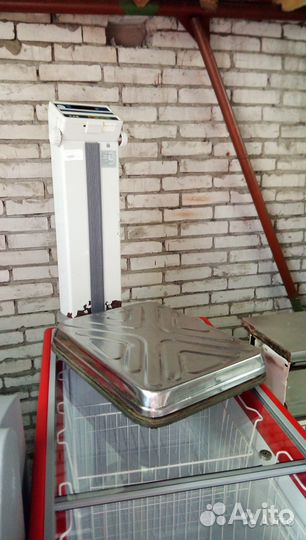 Холодильная и морозильная витрины,ларь,весы