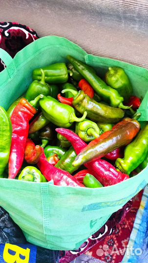 Перец острый