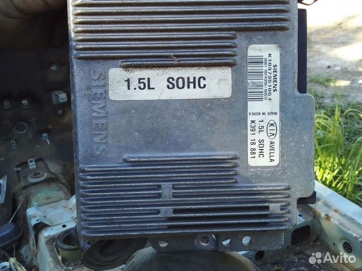 Эбу кия авелла