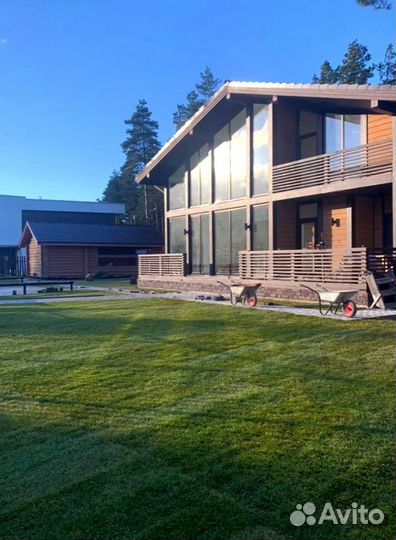 Рулонный газон 