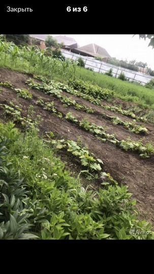 Дом 100 м² на участке 21 сот.